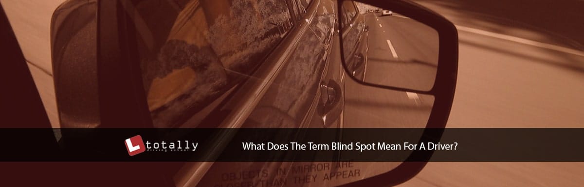 What Does Blind Mean BLINDS